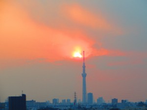 IMG_7449