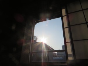 IMG_7501