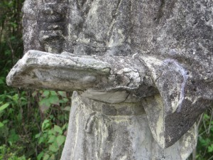 IMG_8124