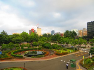 IMG_8535