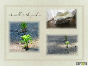 www.kizoa.com_collage_2014-06-27_10-04-12