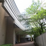 IMG_8695