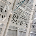 IMG_8811[1]