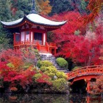 20141001_203126000_iOS
