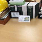 20150712_070526000_iOS