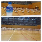 PhototasticCollage-2015-11-23-09-22-41